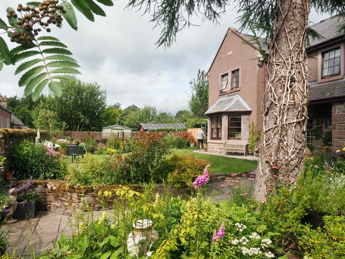 Brechin Gardens in June