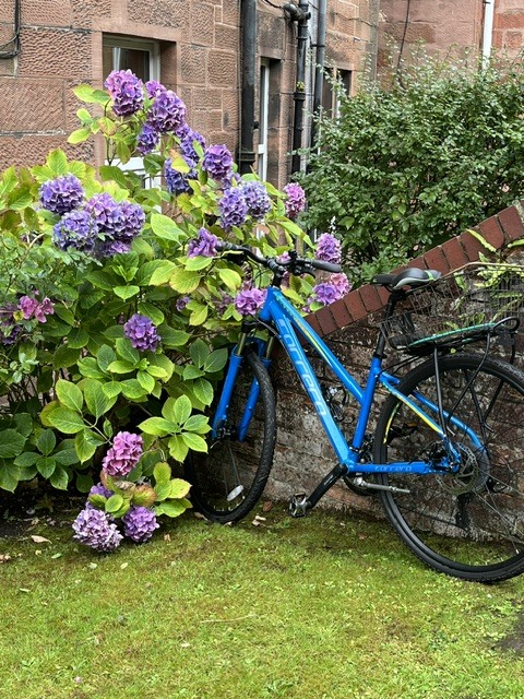 garrioch-gardens-hilda-kelly-10.jpeg