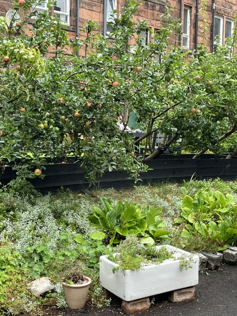garrioch-gardens-hilda-kelly-12.jpeg