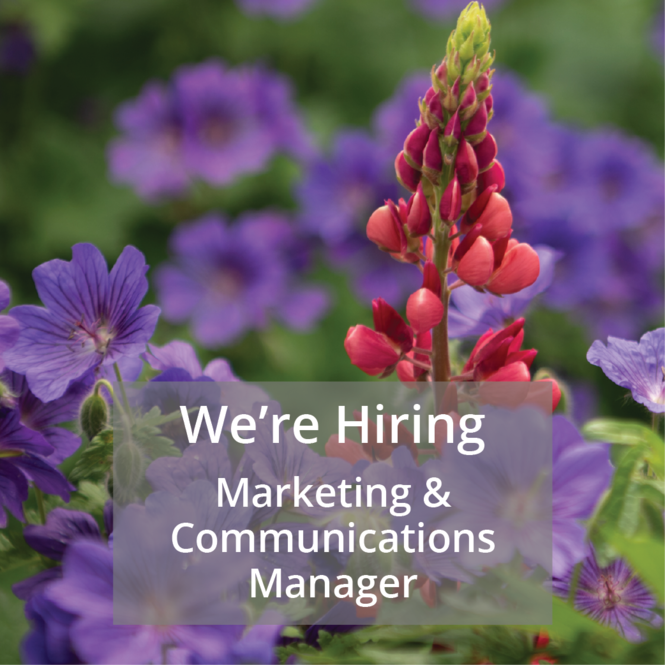 hiring-website-tile.png