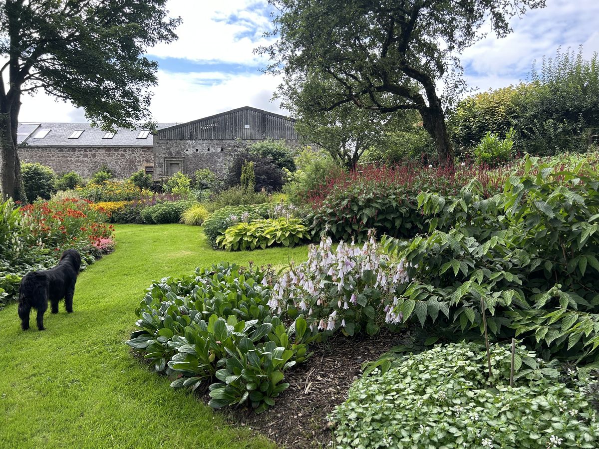 Covington Mill Farm
