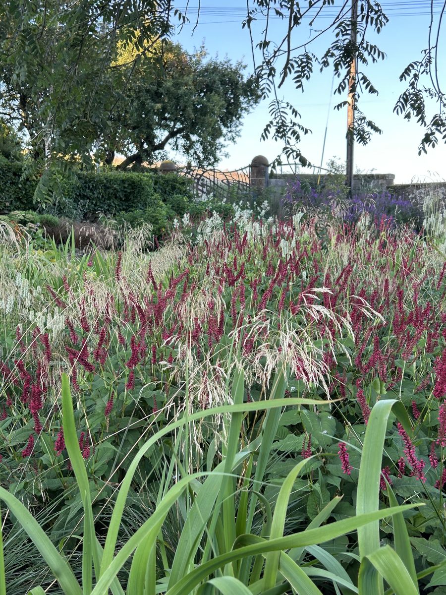 Covington Mill Farm