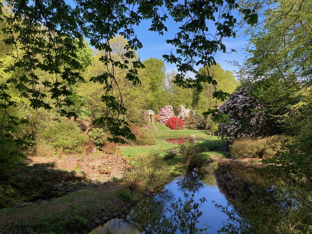 Corsock House