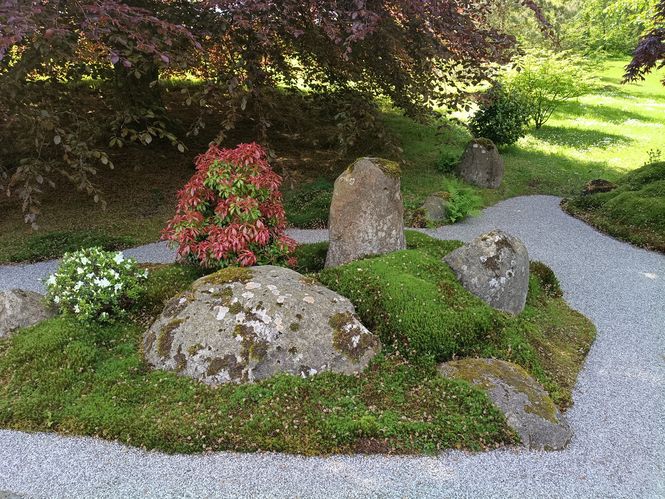 japanese-garden-cowden-report-elspeth-mcgilp-2.jpg