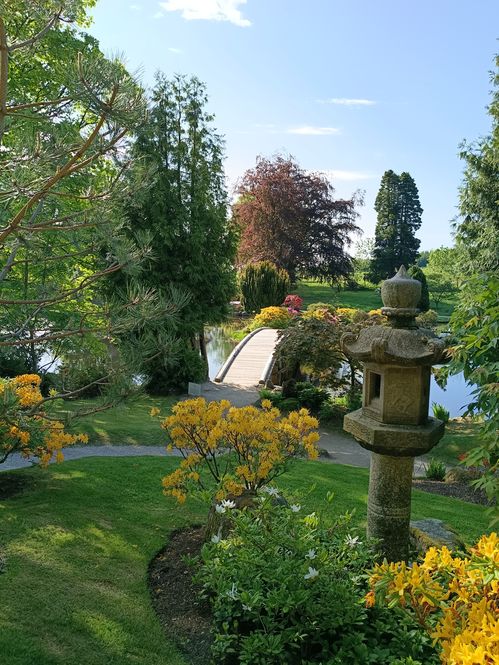 japanese-garden-cowden-report-elspeth-mcgilp.jpg