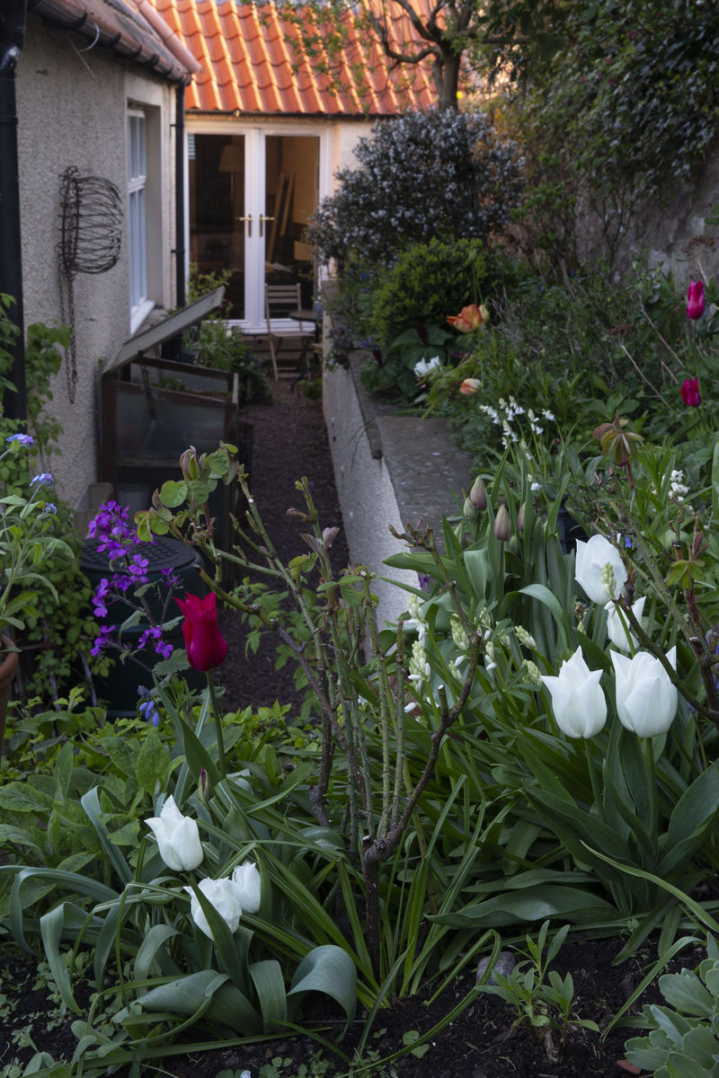 Mercat Cottage Garden