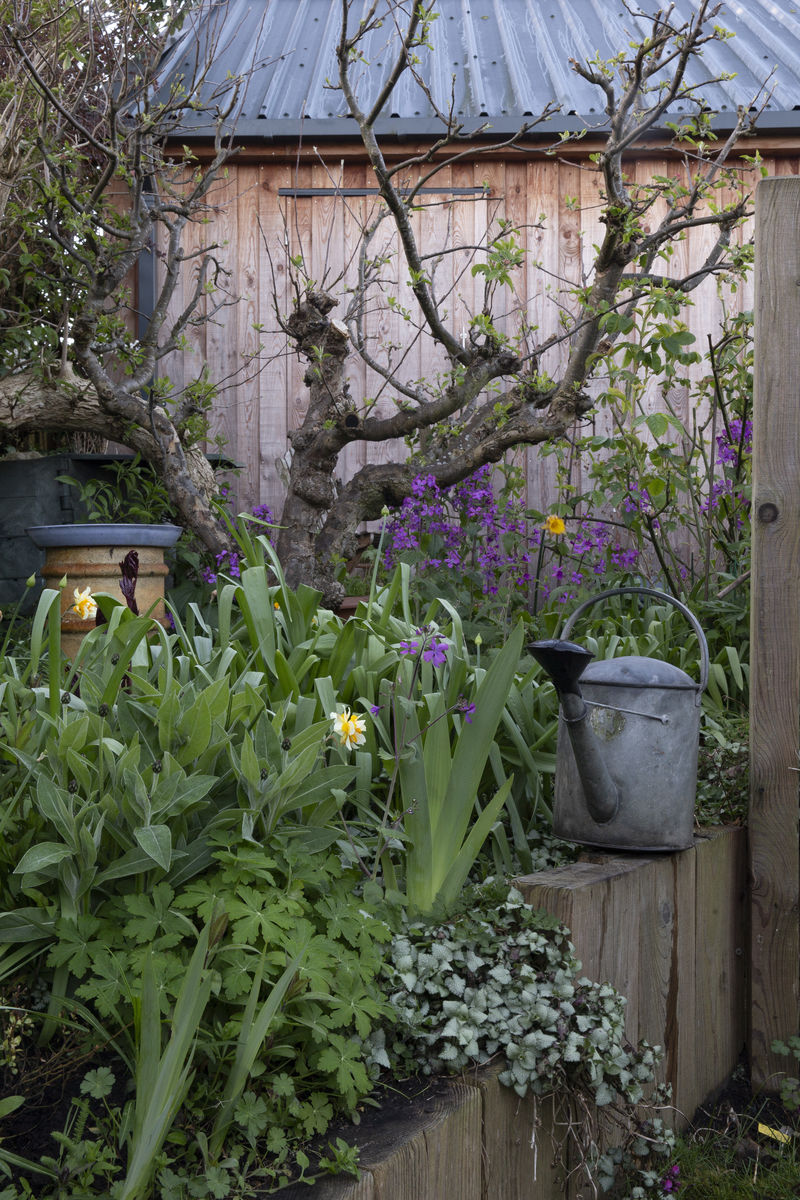 Mercat Cottage Garden