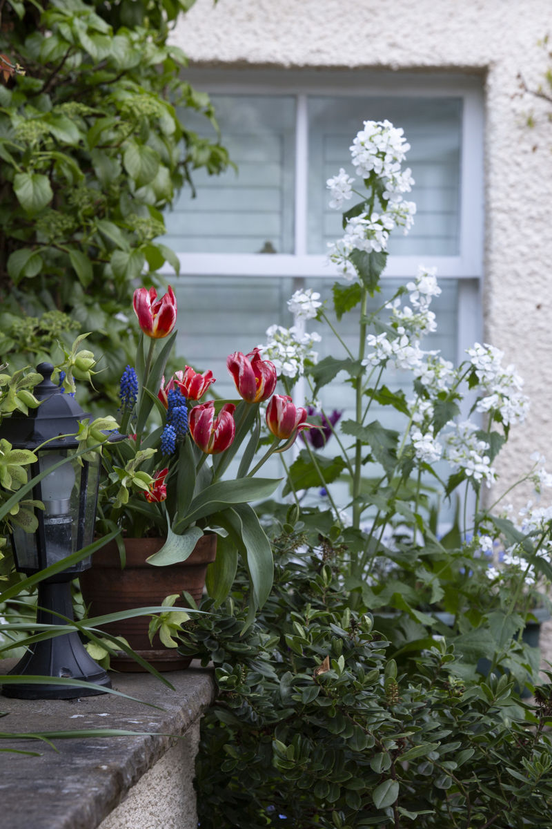 Mercat Cottage Garden