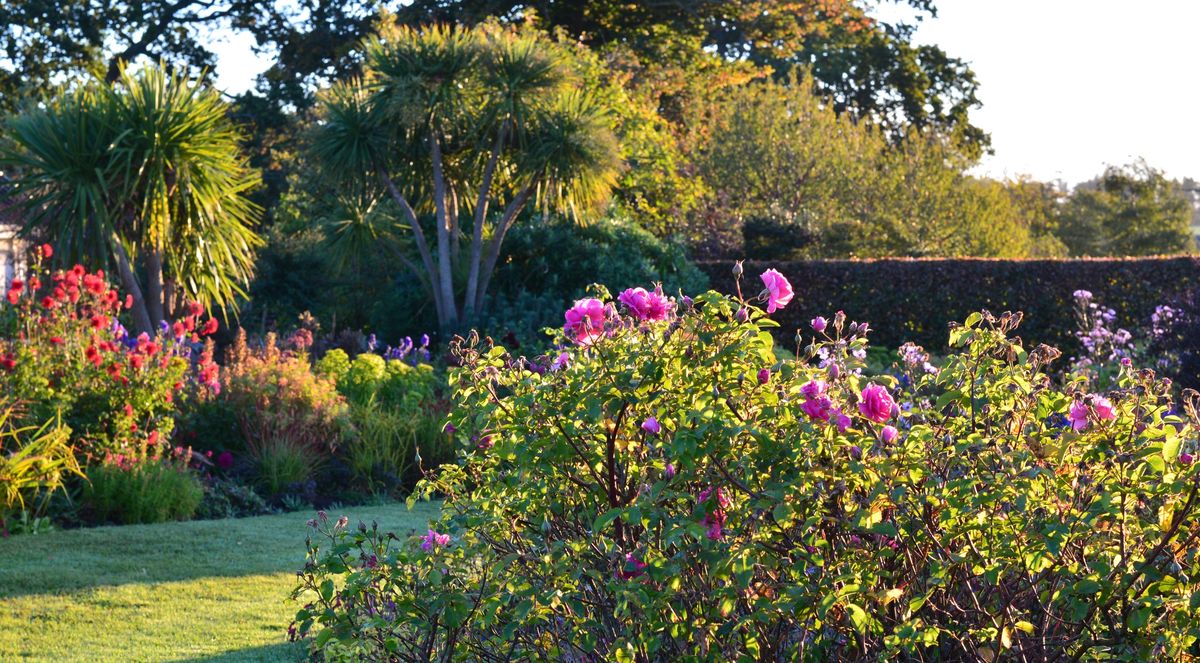 october-blooms-willowhill.jpg