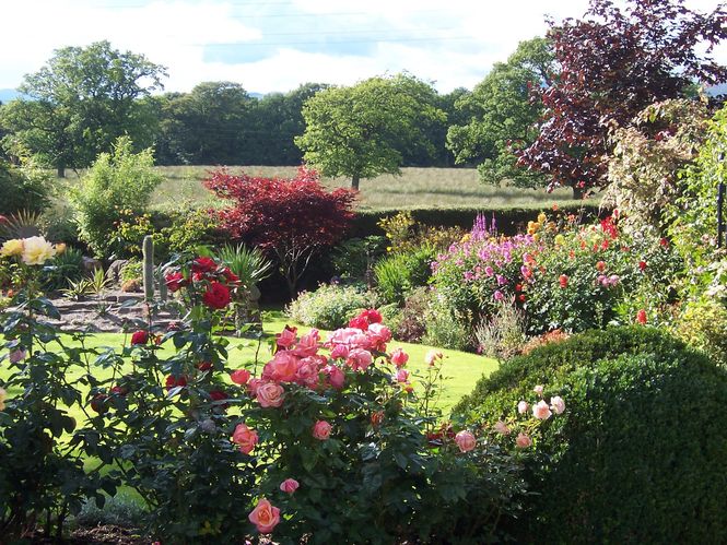 Killearn Village Gardens