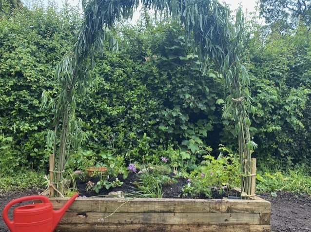 10 Drops Garden