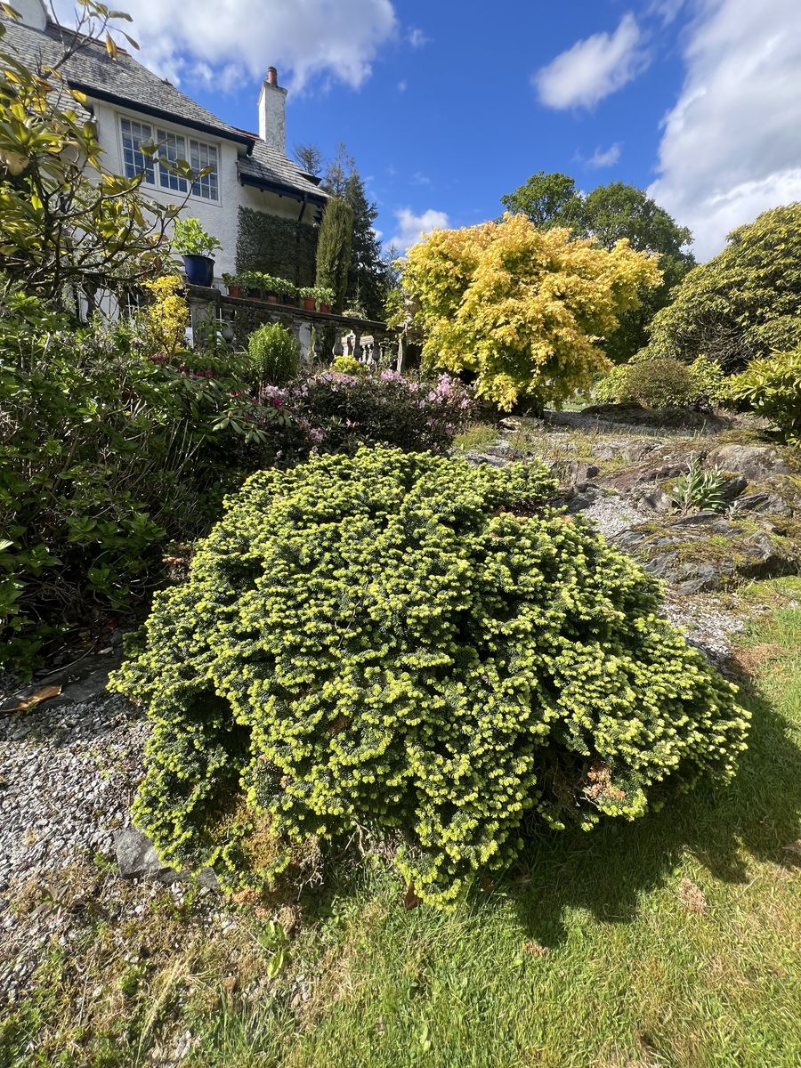 Whitehills House