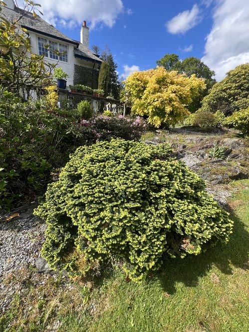 Whitehills House