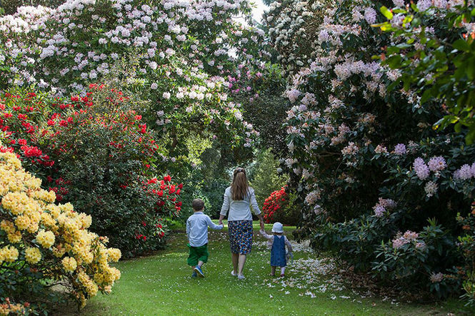 Where to go this Mother's Day?