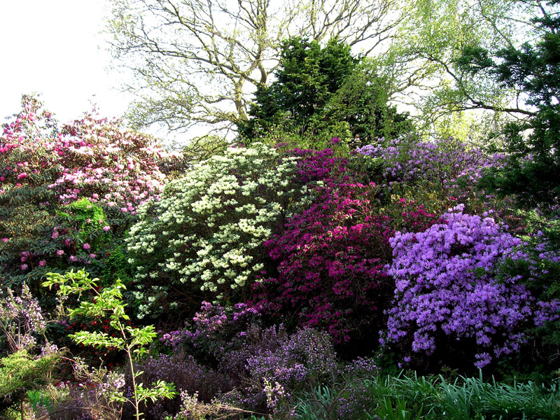 Cruickshank Botanic Gardens