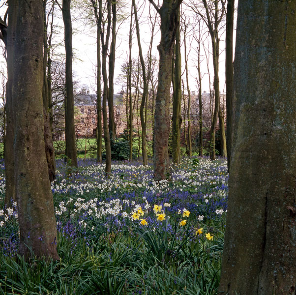 Wemyss Castle ? Ray Cox