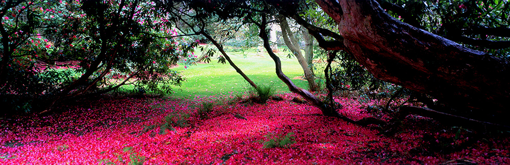 Logan House Gardens
