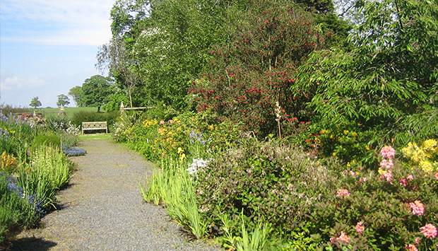 Claymoddie Garden