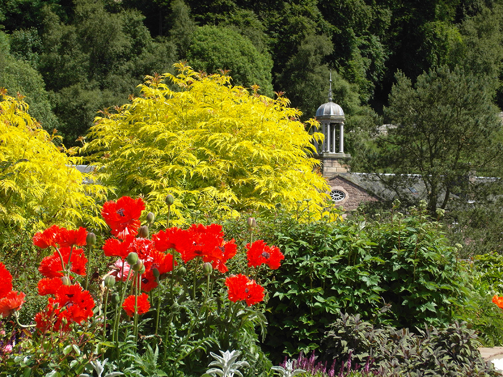 New Lanark Roof Garden