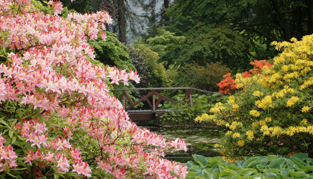 Benmore Botanic Gardens 6