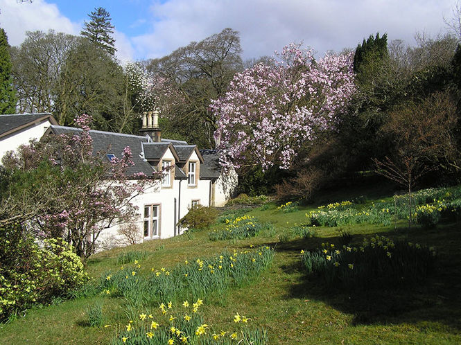 Glenarn Plant Sale