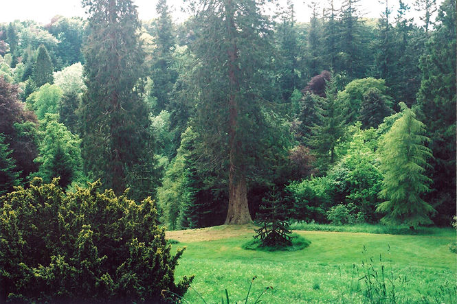 Glenericht House Arboretum