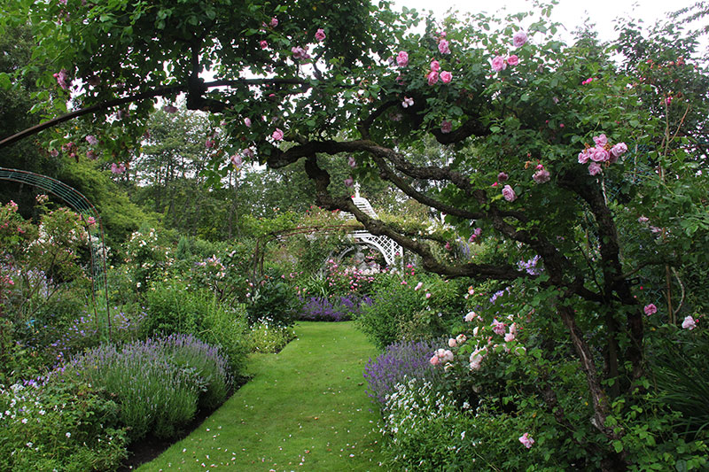 Tyninghame House ? Judy Riley