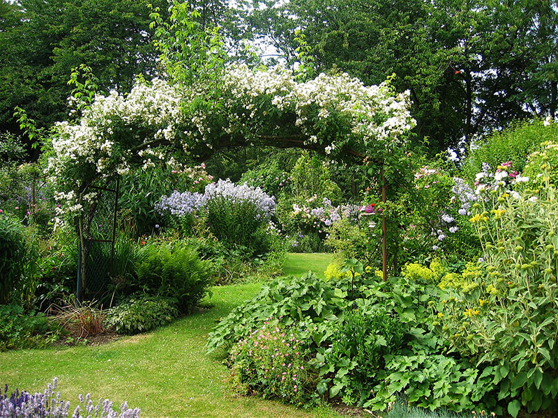 Tyninghame House ? Judy Riley