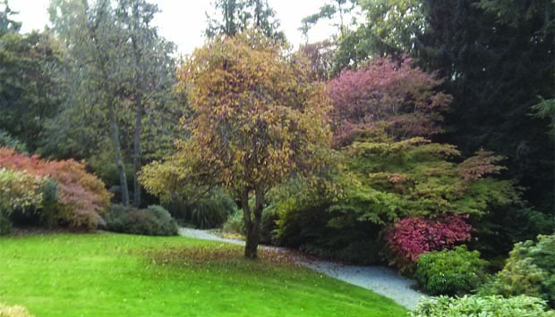 Whitehills House