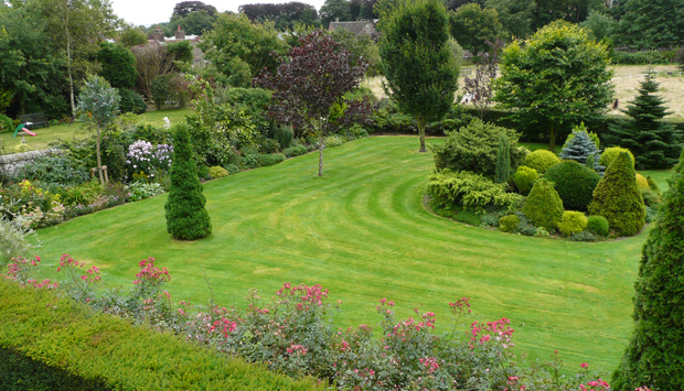 Strathmiglo Village Gardens