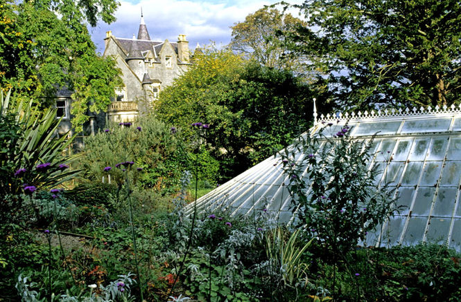 Ascog Hall Garden and Fernery