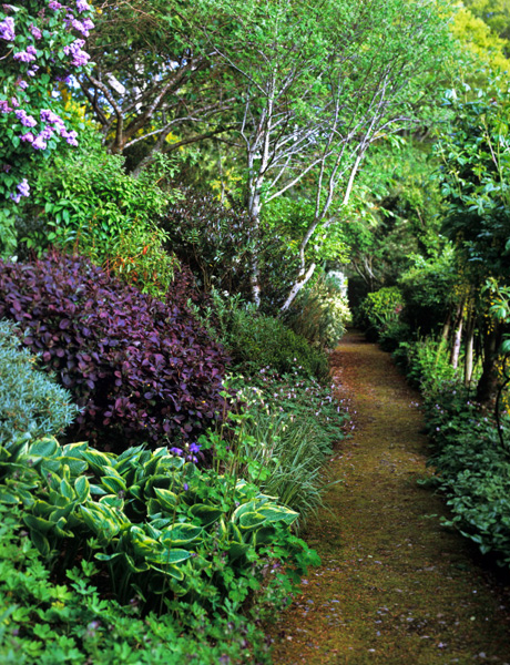 House of Gruinard ? Andrea Jones