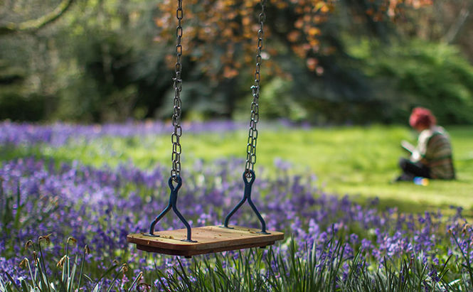 Rossie Gardens