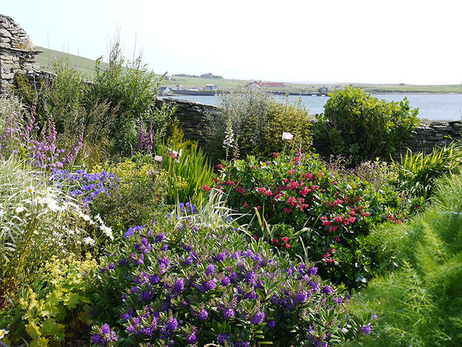 The Quoy of Houton