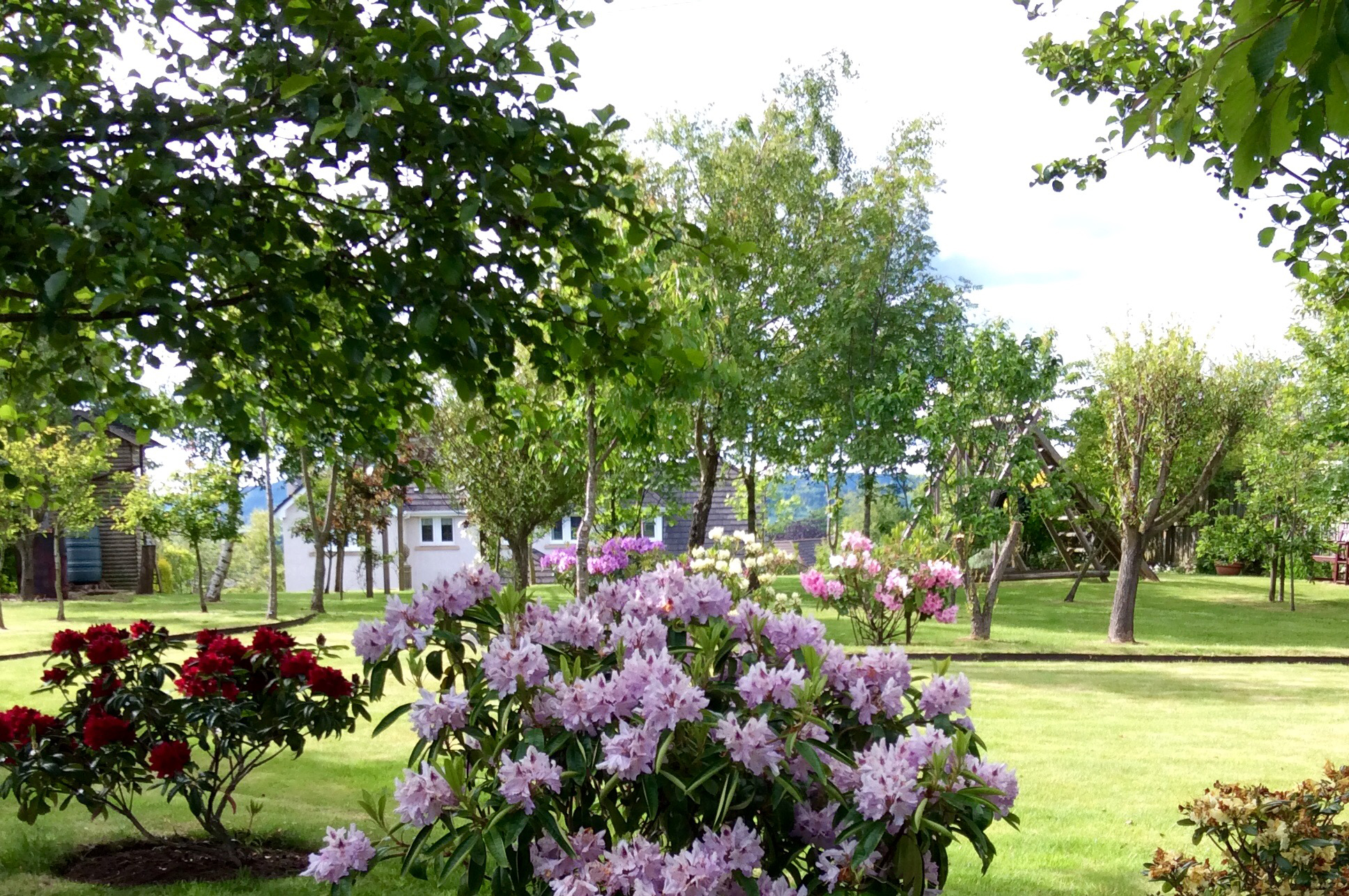 Abernethy Open Gardens
