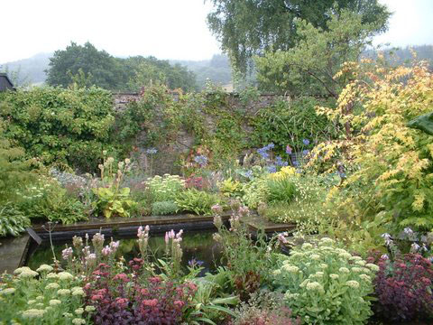 SKY TV'S "SHOW ME YOUR GARDEN"