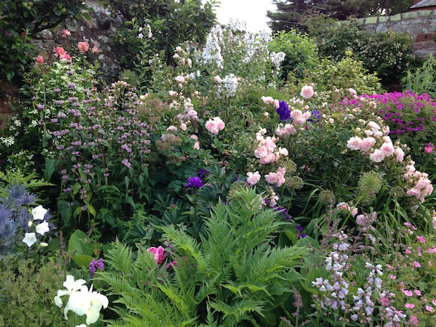 Garvald Grange, East Lothian Garden Trail