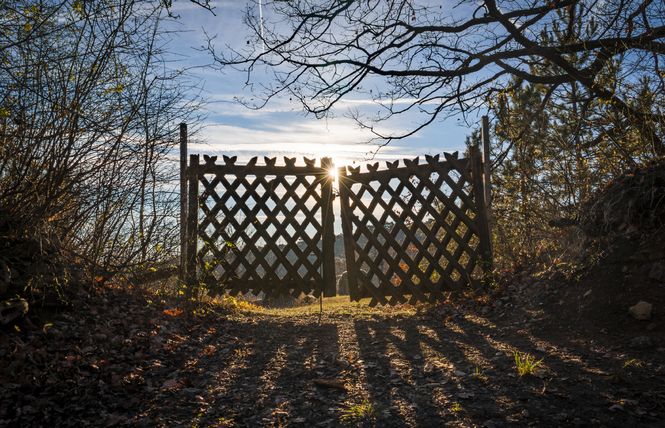 Through the Garden Gate - November