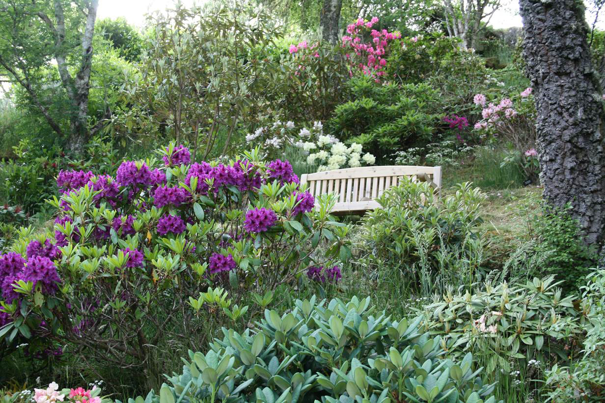 Gorthleck House Garden