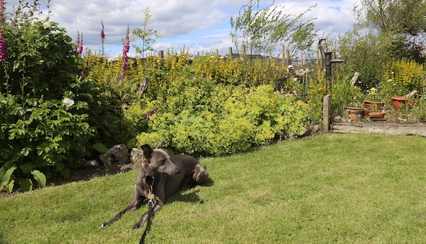 Mr Lowry's visit to Clayfolds, Kincardineshire, 25 June 2017