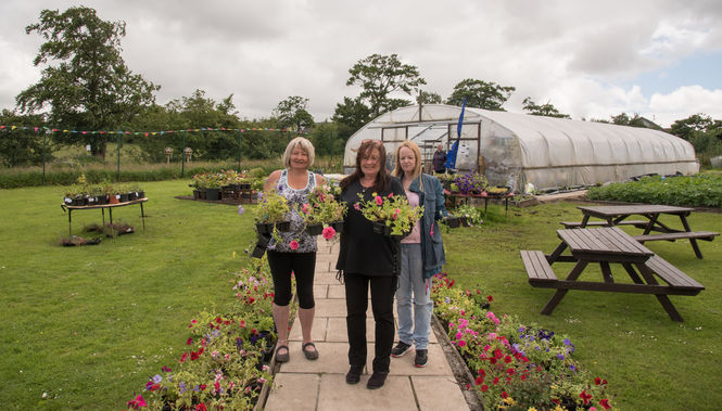 Netherthird Community Garden