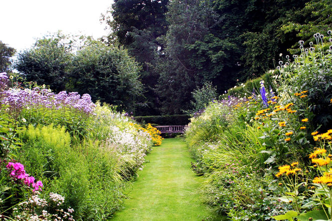 Angus Plant Sale