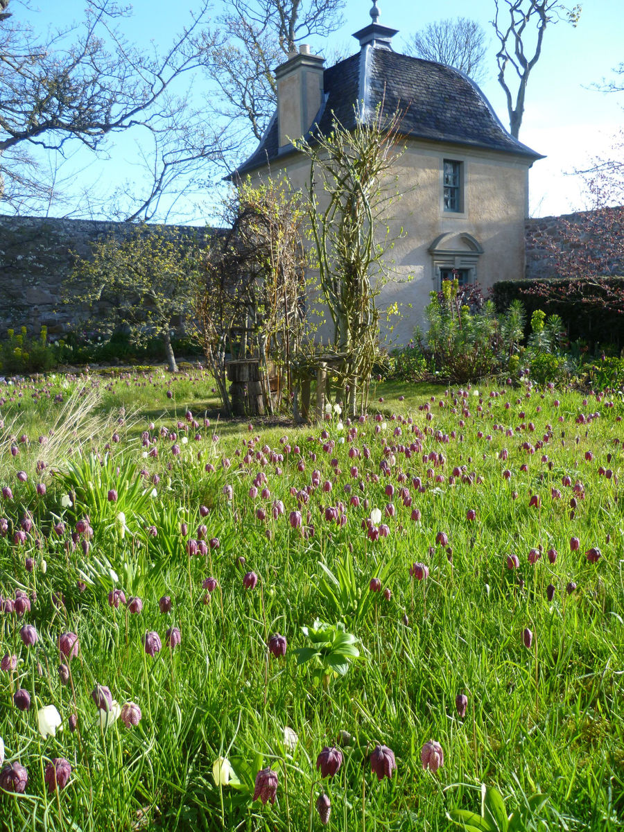 Wormistoune House
